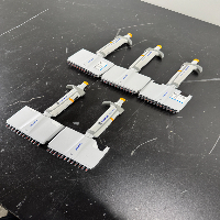 Eppendorf Research Plus Multichannel Pipettes - Quantity 5 image 1